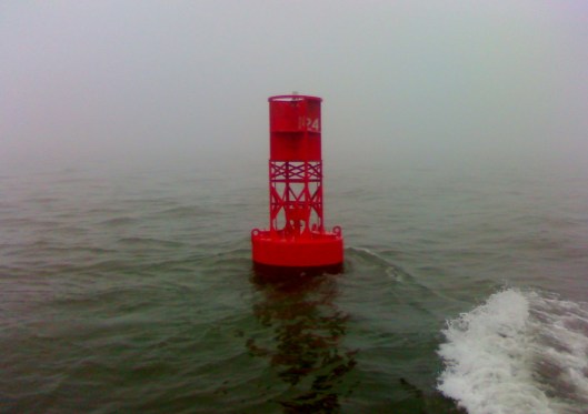 1/1/11 Osprey cruise