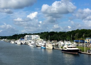 Blue Heron and Slow Dance from the WB Bridge