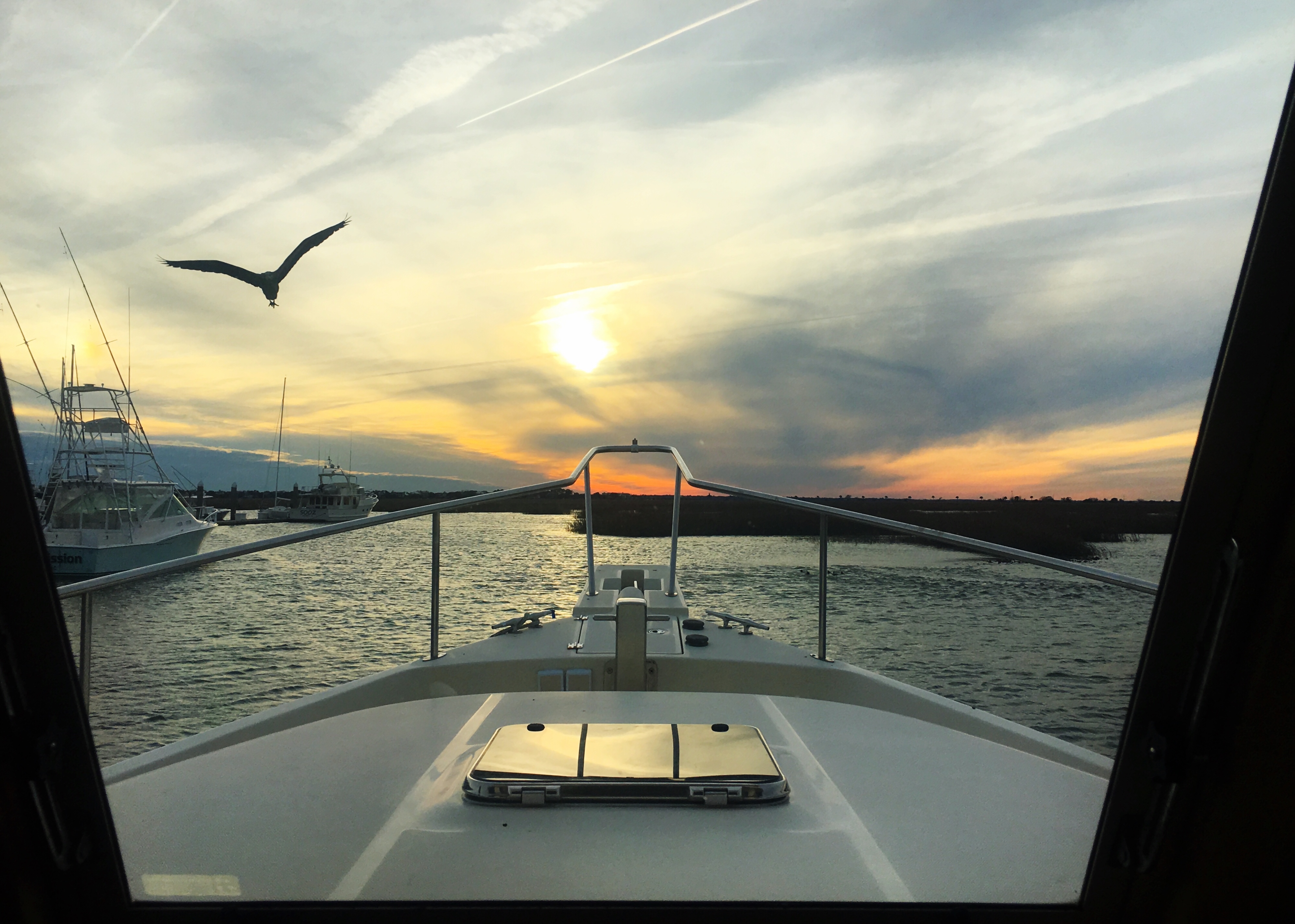 Tolers Cove 1-1-2018 1