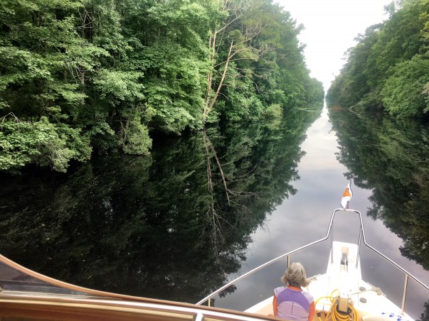 Admiral enjoying the tranquility